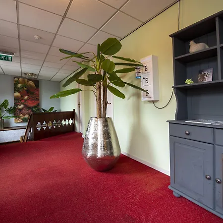 Hotel Arcen Hotel 3*