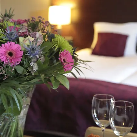 Hotel Arcen Hotel 3*